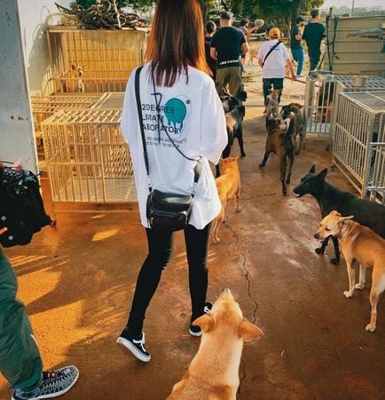 张轩睿短命恋林明祯后 低调交往柯震东经纪人