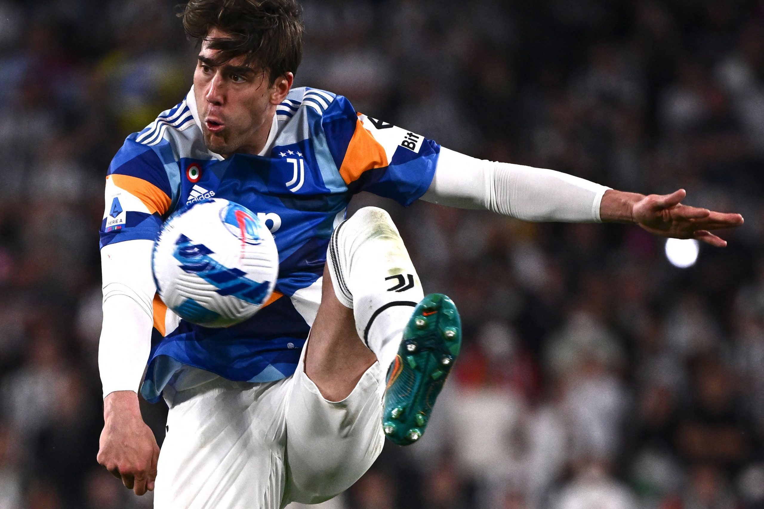 意杯4强次回合主场布阵  祖云盼二摘紫百合