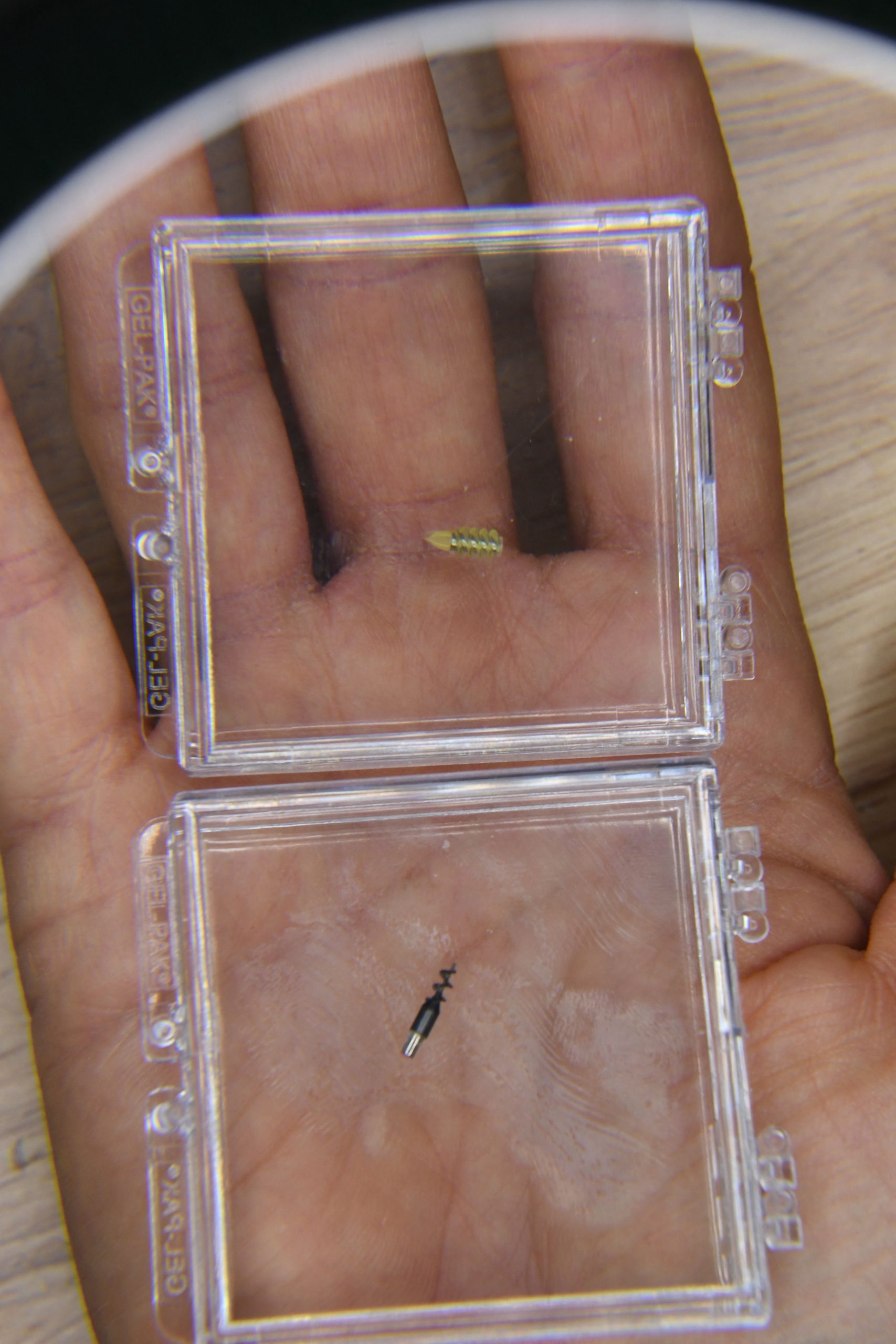 拚盘)微型机器人治疗脑疾病