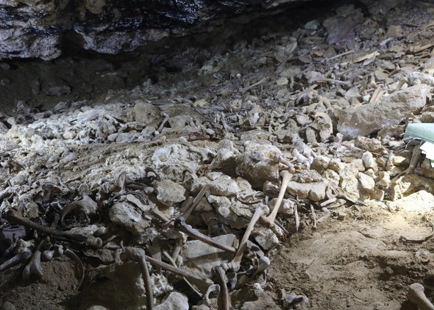 拼盘/发掘中国已知海拔最高遗址 研究西藏早期丧葬习俗