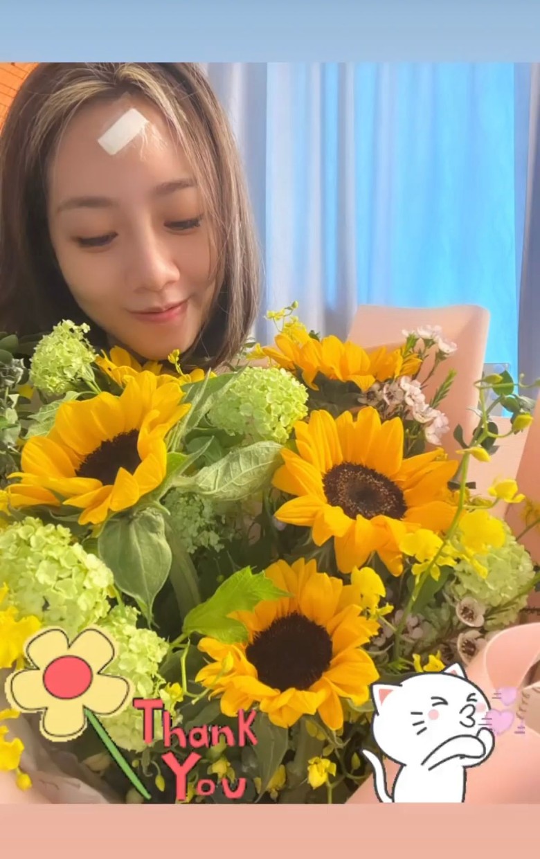 方力申拍节目玩出祸 累胡美贻撞伤头缝16针