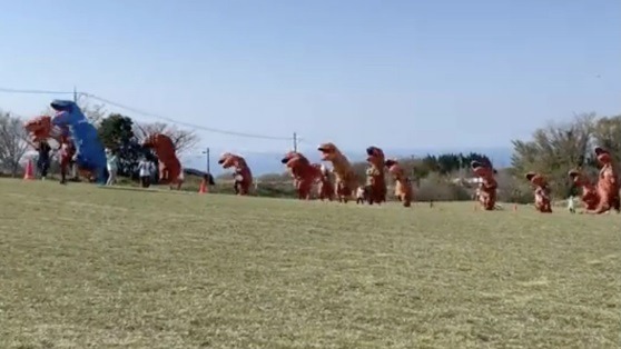  日本百只暴龙运动会 广播操竞速赛样样来