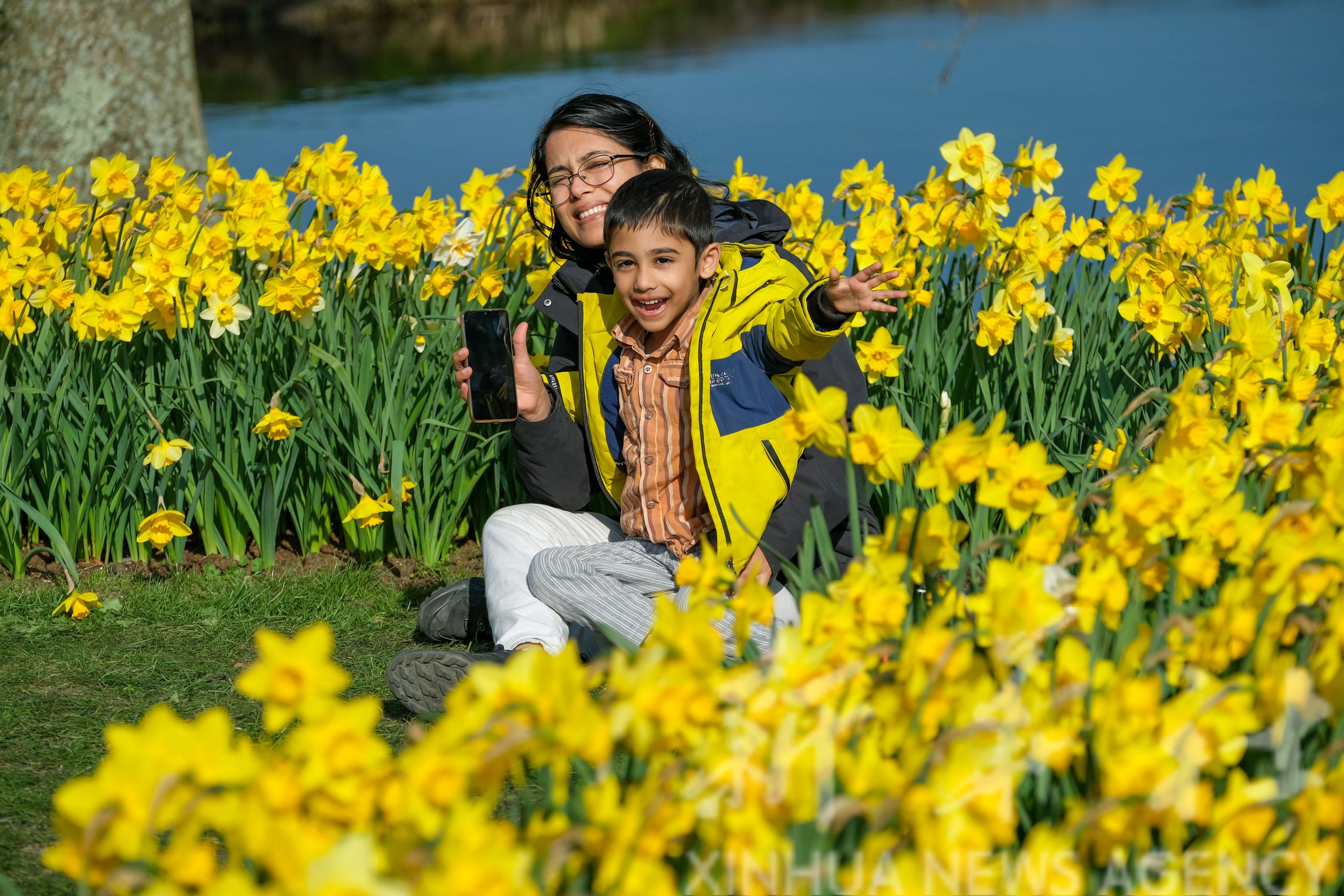 春暖花开 赏花时节 治愈因战争冠病而孤独的灵魂