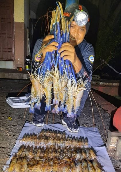 玉射河打巴鱼,垂钓者心头好