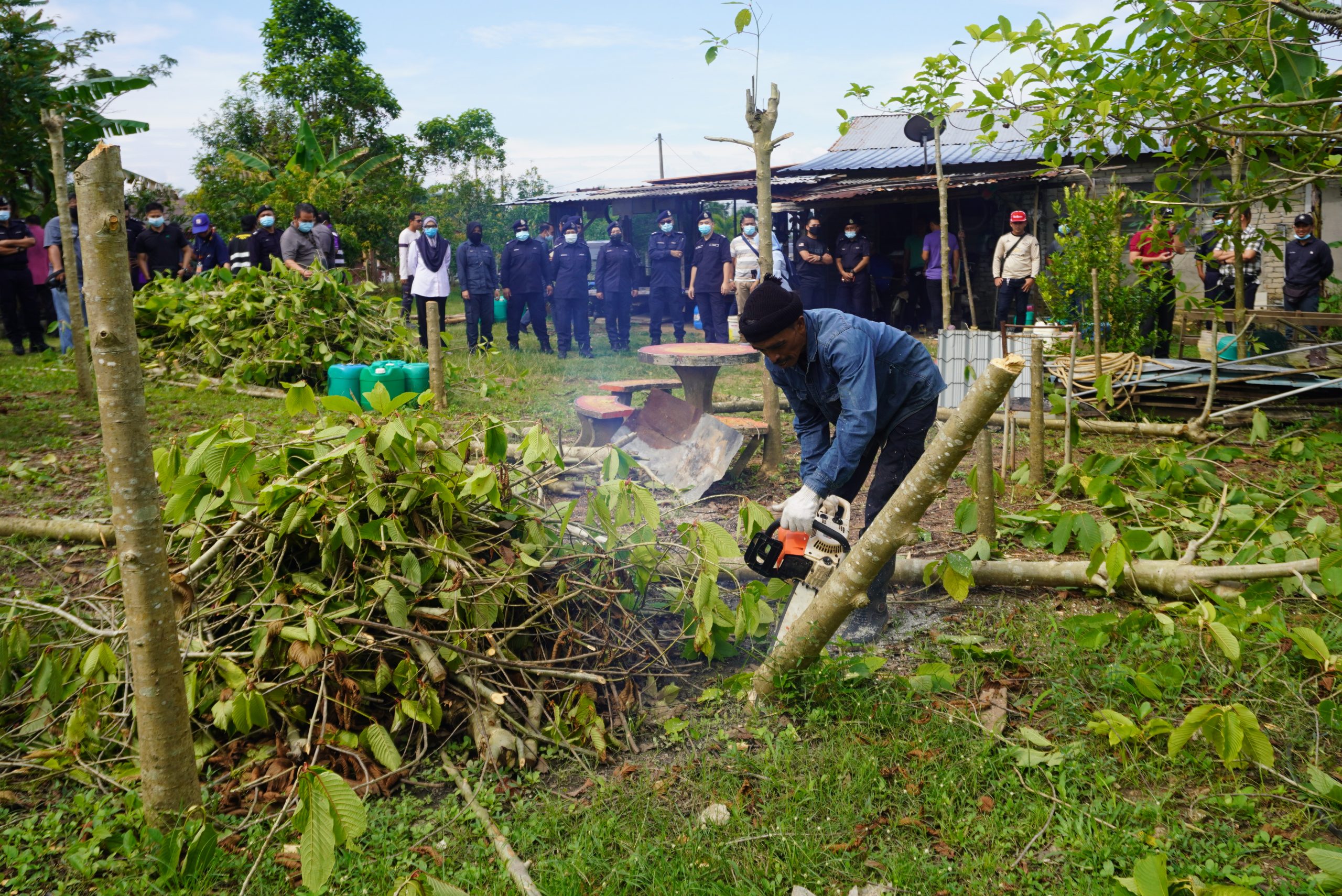 查希迪：卫生部现阶段拟种植管制措施，带入内阁探讨可行性