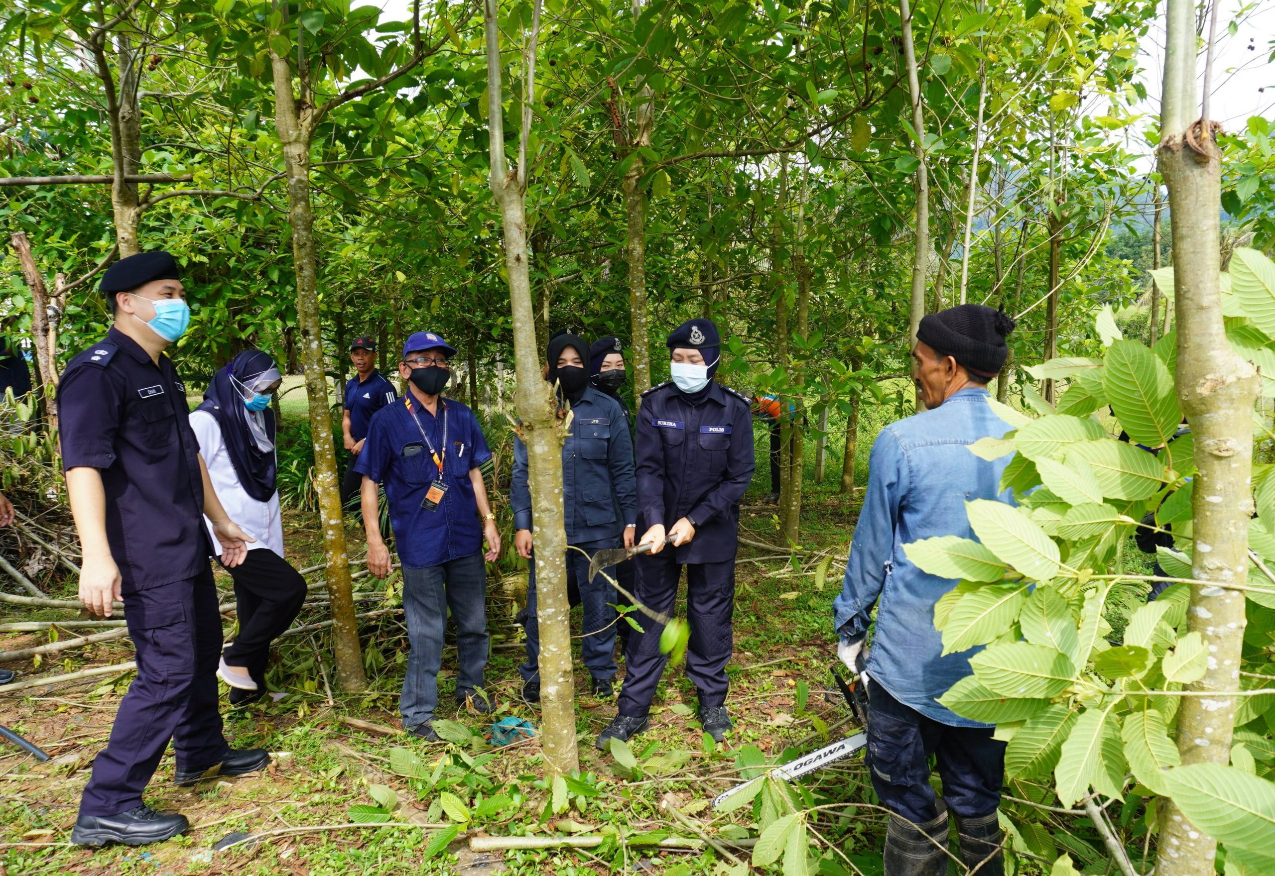 查希迪：卫生部现阶段拟种植管制措施，带入内阁探讨可行性