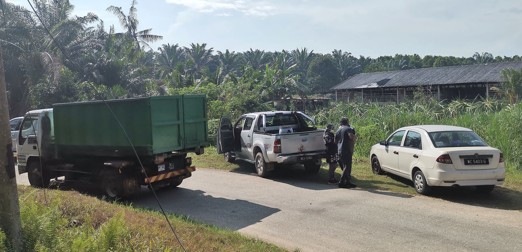 毁猪行动!森州丹A非法养猪区列“猪瘟区” 生人勿近