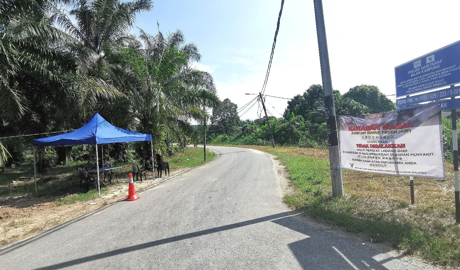 毁猪行动!森州丹A非法养猪区列“猪瘟区” 生人勿近