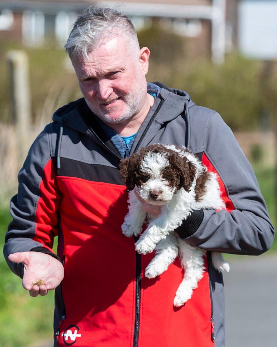 毛孩散步突狂挖土！竟挖出金币　爸嗨爆：养到淘金犬