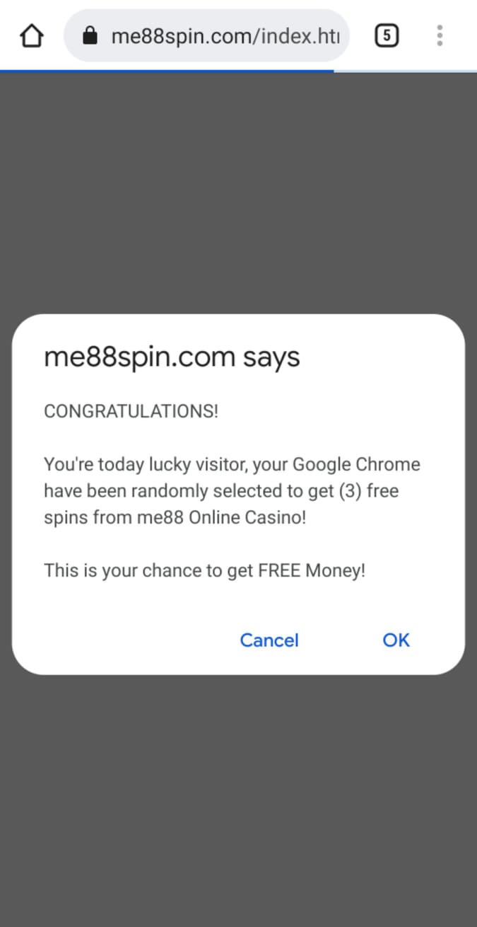 求真//星洲网被盗用