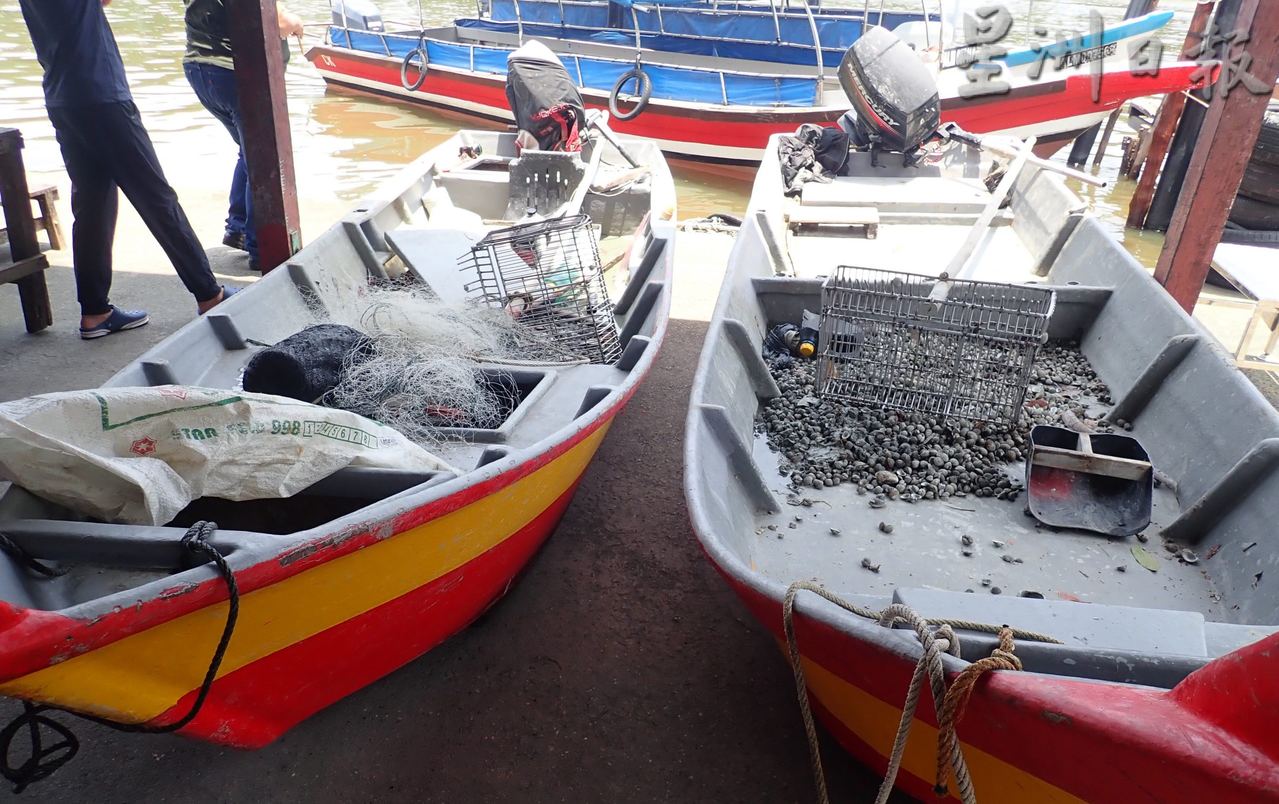 涉偷蚶遭追捕 2贼弃船逃入红树林