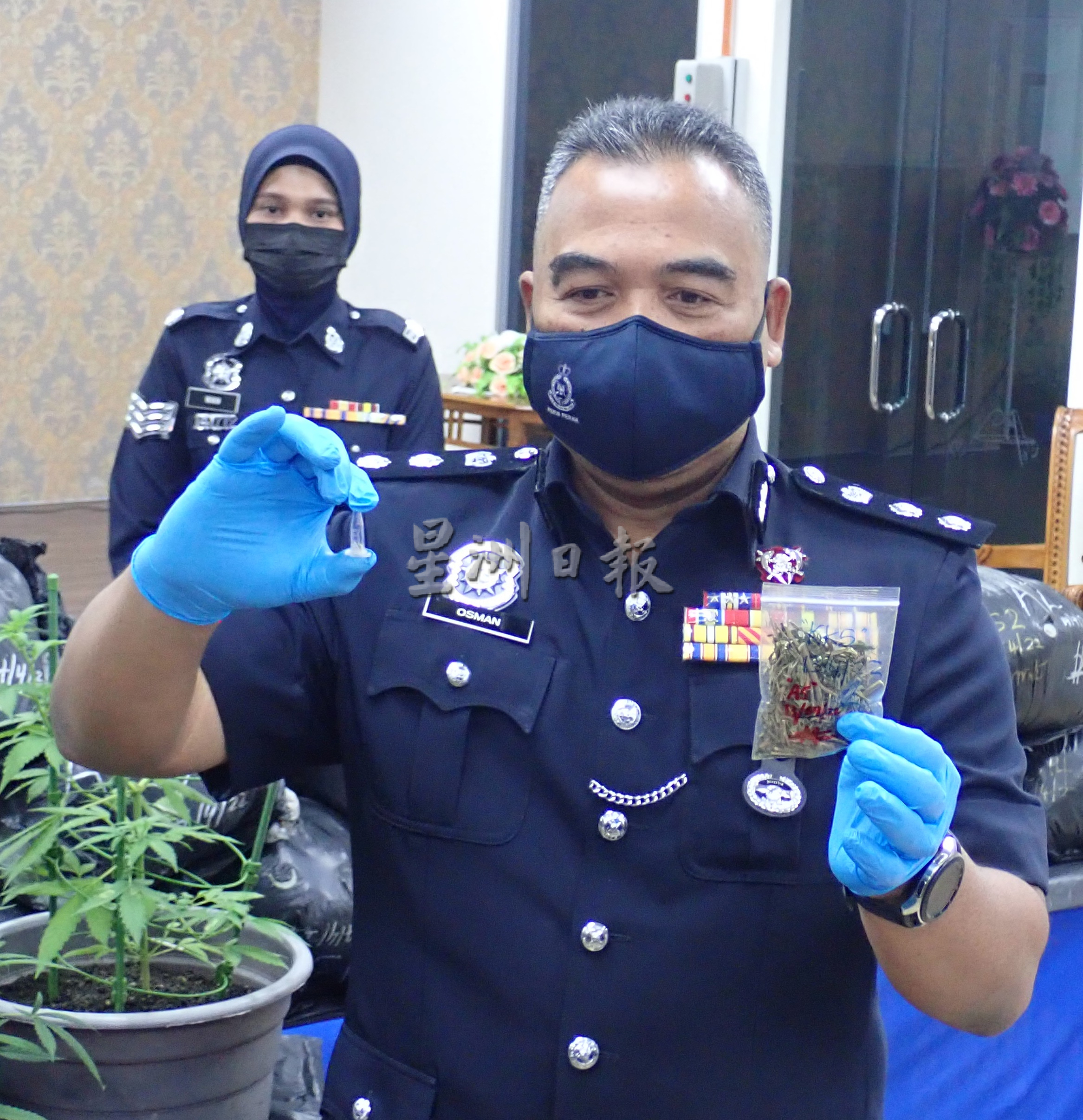 男子网购大麻种子 自种自给落警网
