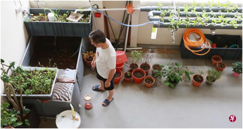 男子自费打造走廊“小农场” 当局指违安全隐患下令拆