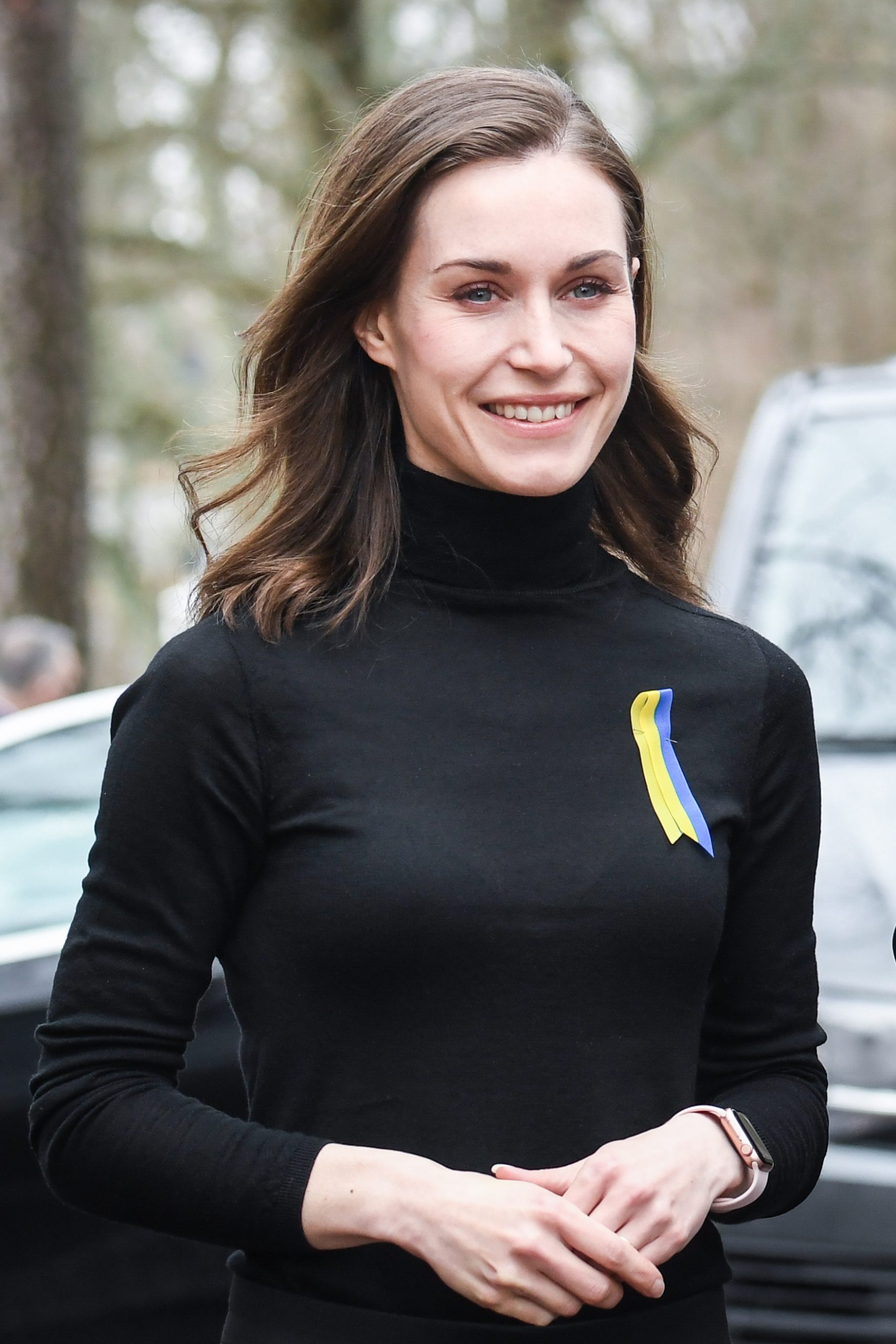 芬兰6月底或决定申请加入北约