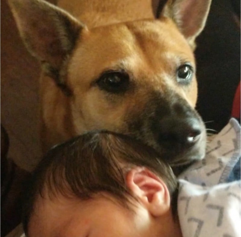 金曲歌王无套偷吃20岁嫩妹 妻痛诉:当时我还怀孕