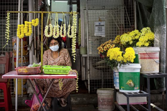 陈子韩/有些人选择忙碌
