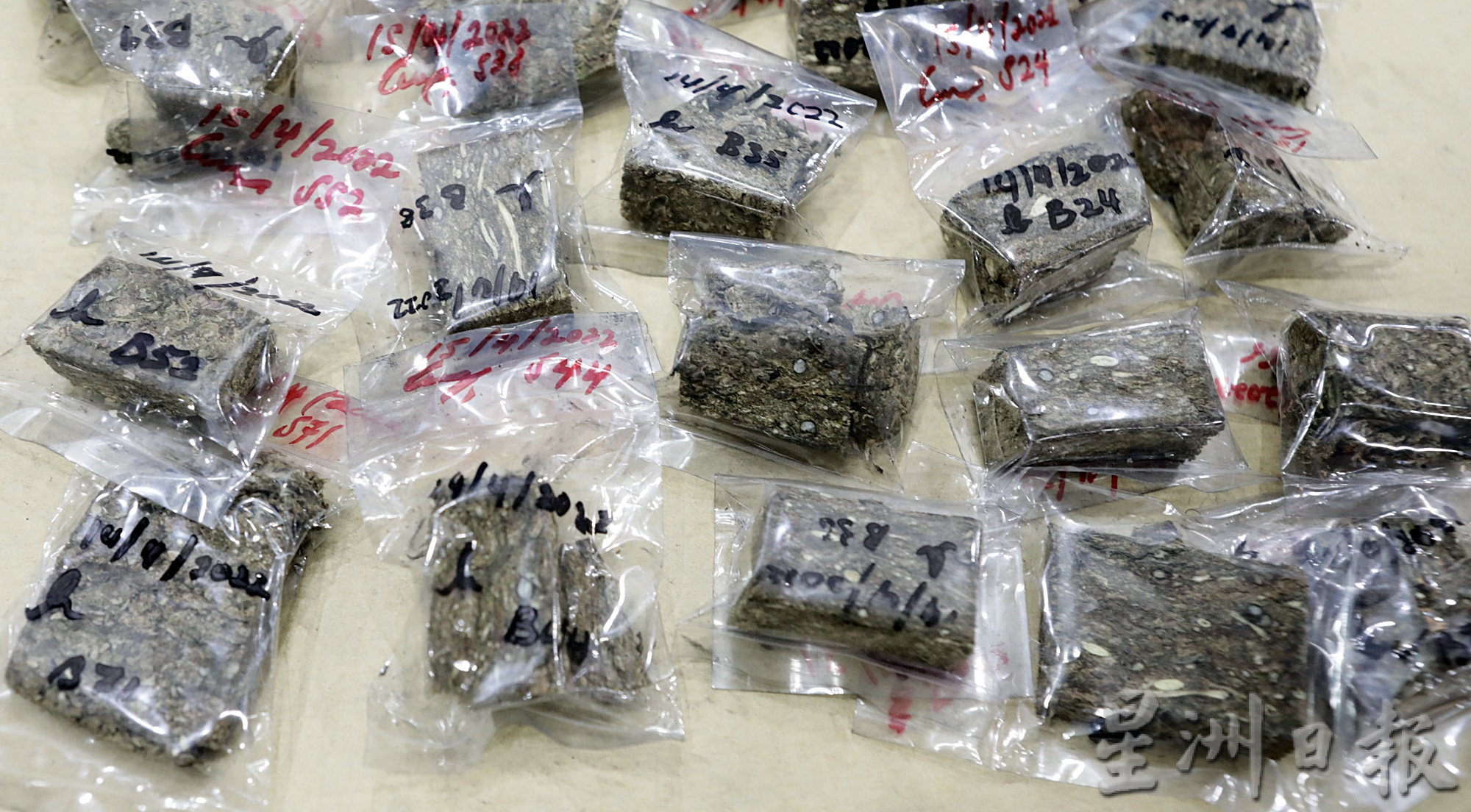 隆警侦破6人毒品集团·起逾38万毒品