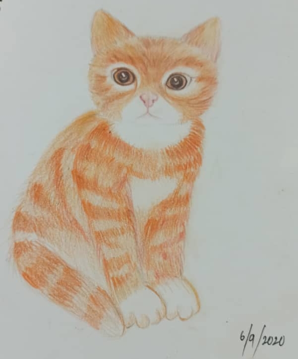 霹：21日见报／封底主文／【乐活频道】/16岁少女丘紫月爱画画·宠物画治愈人心