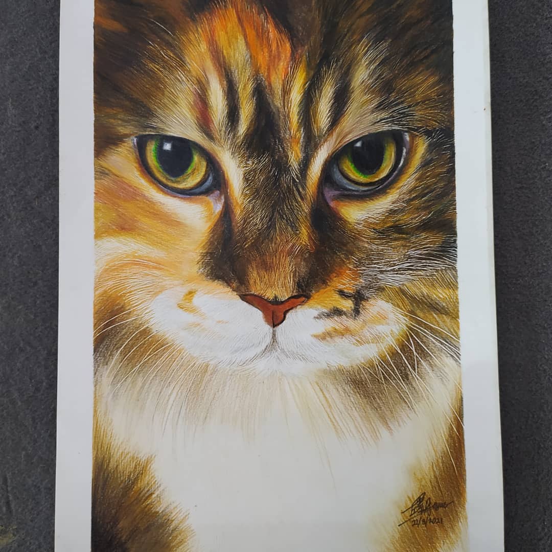 霹：21日见报／封底主文／【乐活频道】/16岁少女丘紫月爱画画·宠物画治愈人心