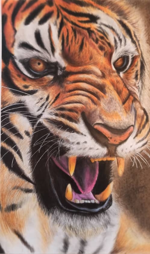 霹：21日见报／封底主文／【乐活频道】/16岁少女丘紫月爱画画·宠物画治愈人心