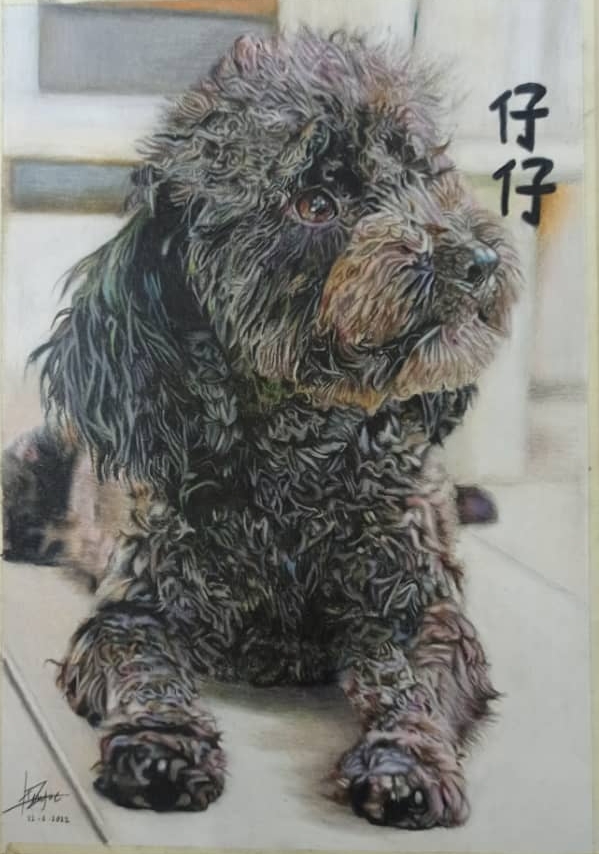 霹：21日见报／封底主文／【乐活频道】/16岁少女丘紫月爱画画·宠物画治愈人心