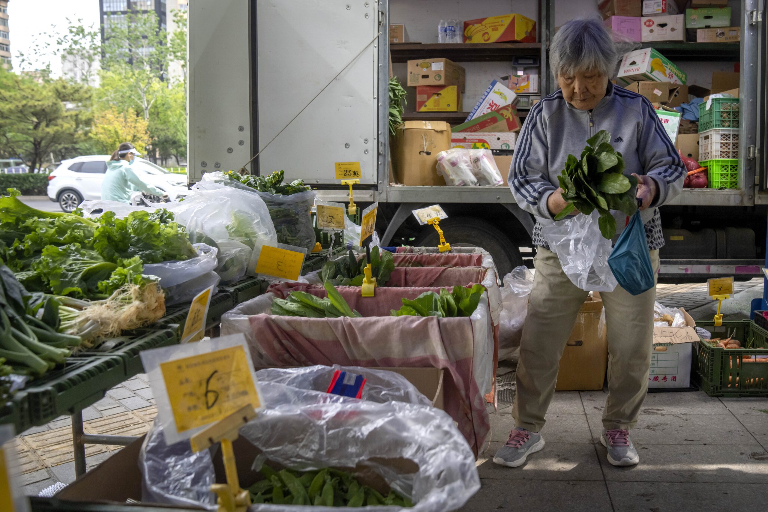 餐餐吃菠菜仍赶不上烂掉速度 北京市民后悔跟风囤货