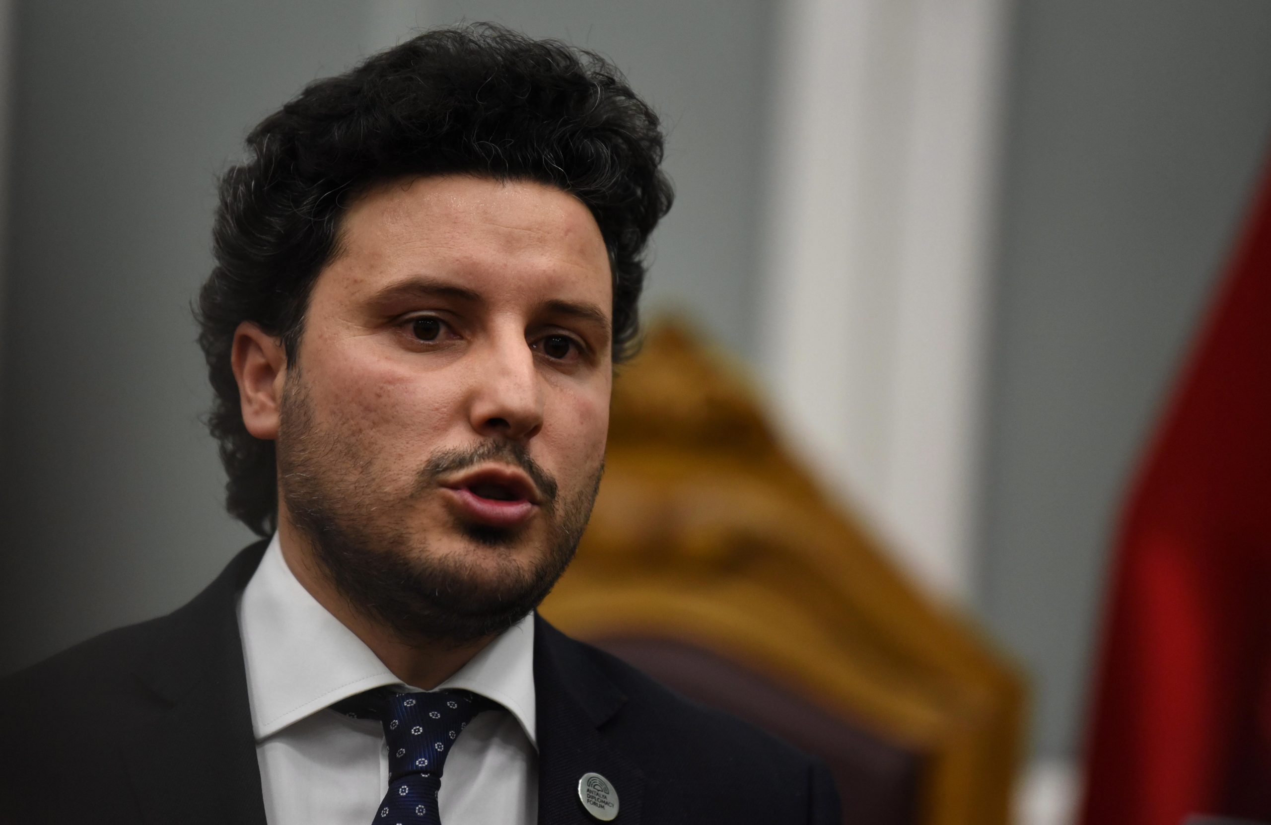 黑山/亲西方新政府组成