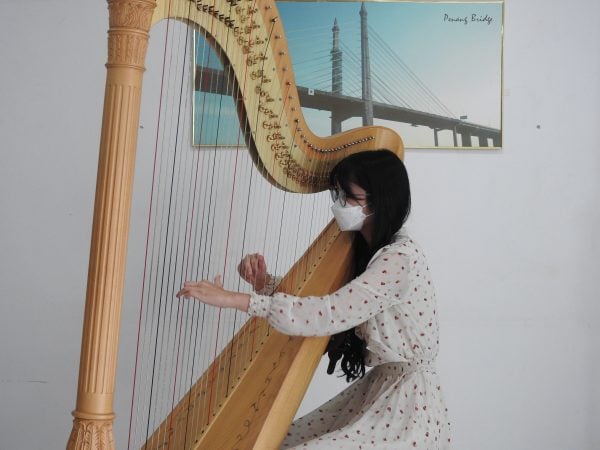 (27/4/有故事的人)幸福的竖琴小公主