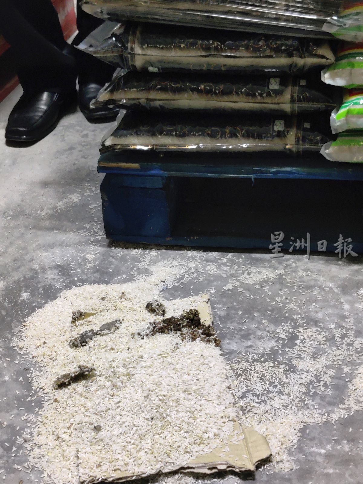 (古城封面版主文)超市有猫粪 僵尸鸡·遭封锁仓库 罚款9500