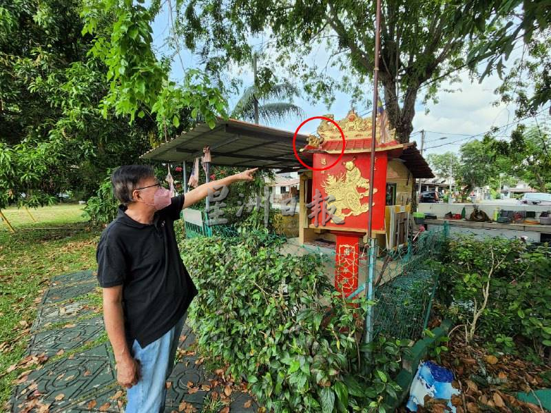 （古城第三版主文）阿峇迪花园约30棵大树3年没修砍，阻碍视线路灯外，居民也担心倒下