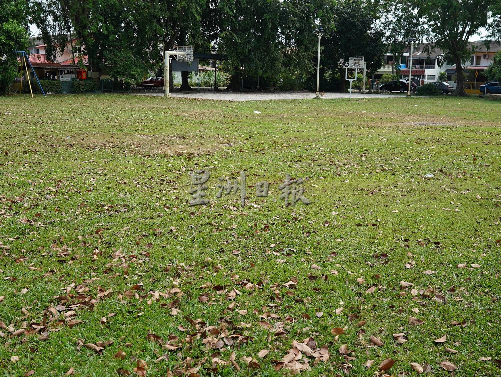 （古城第三版主文）阿峇迪花园约30棵大树3年没修砍，阻碍视线路灯外，居民也担心倒下