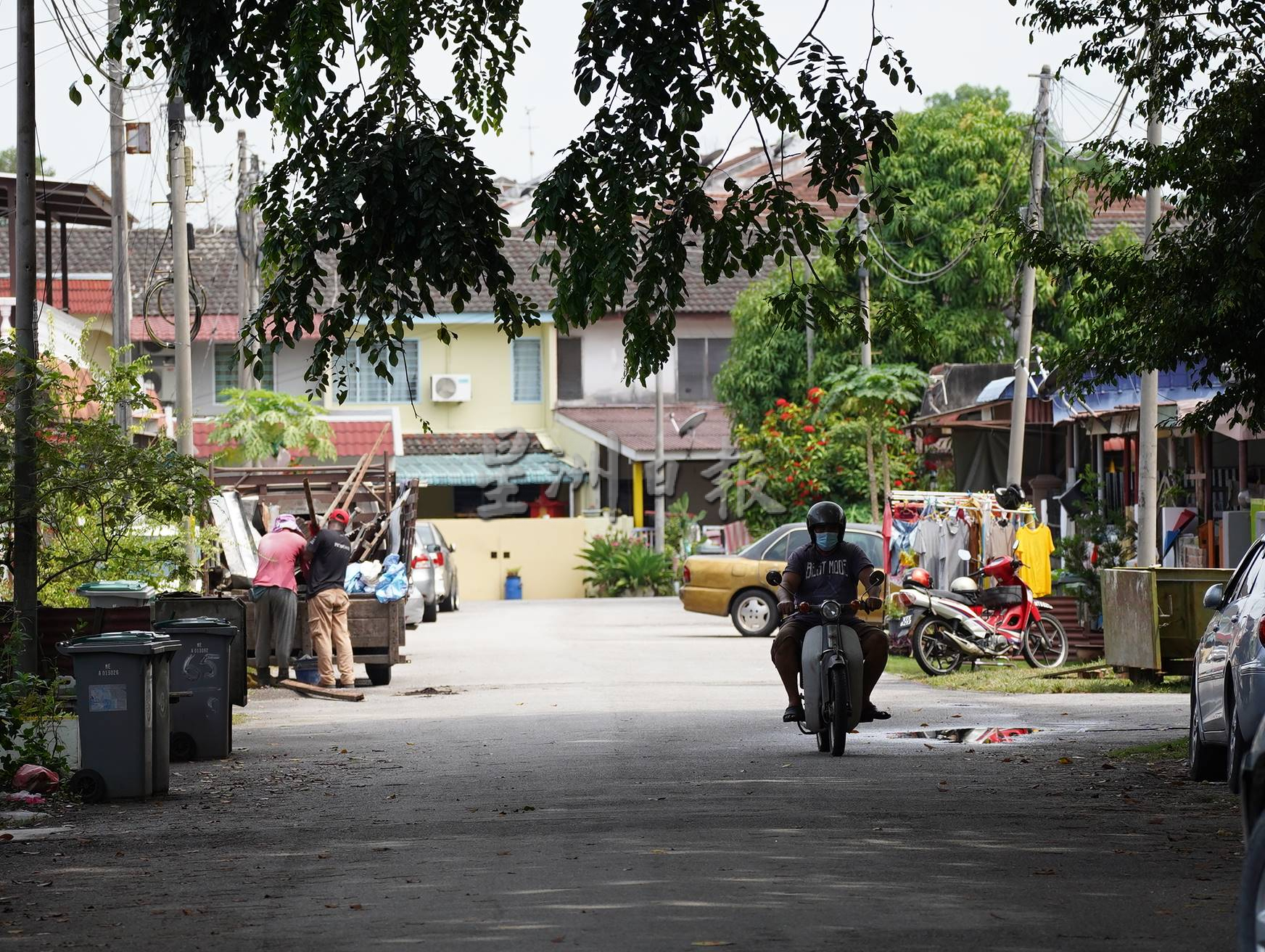 （古城第三版主文）阿峇迪花园约30棵大树3年没修砍，阻碍视线路灯外，居民也担心倒下