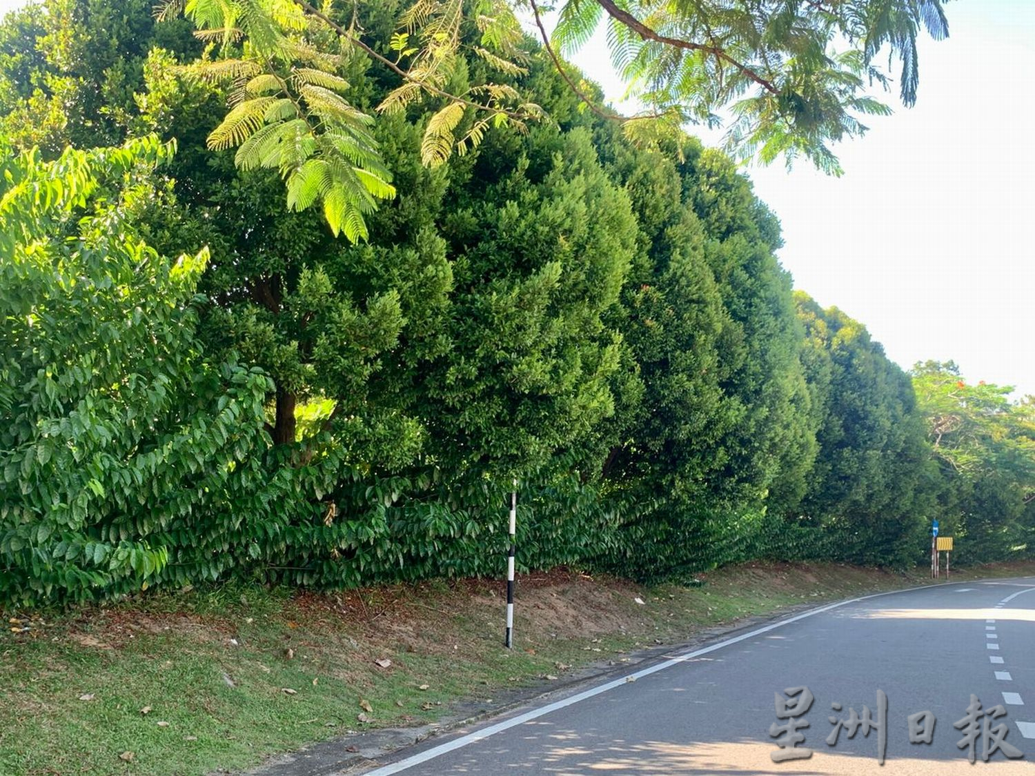 (古城第二版主文)天气干旱,义山频发生林火