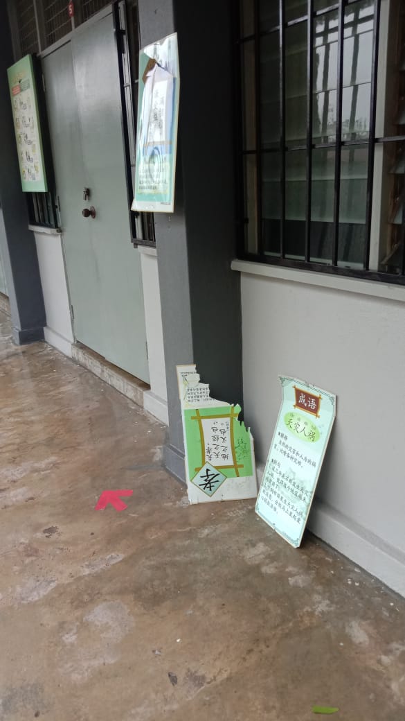 （已上网）大都会:双小遭遇风灾/6图