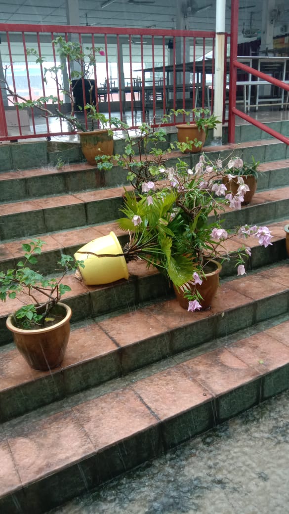 （已上网）大都会:双小遭遇风灾/6图