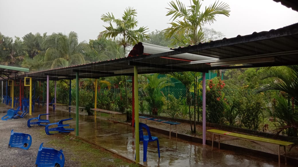 （已上网）大都会:双小遭遇风灾/6图