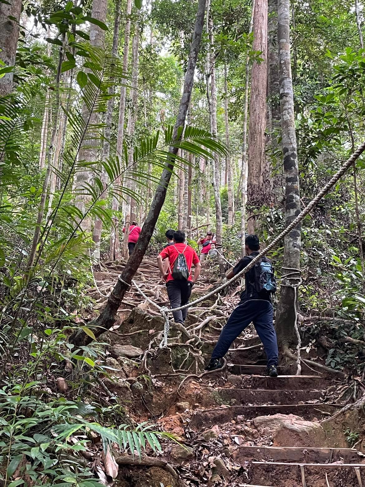 边界重开首个周末  銮-新山9趟巴士票卖光