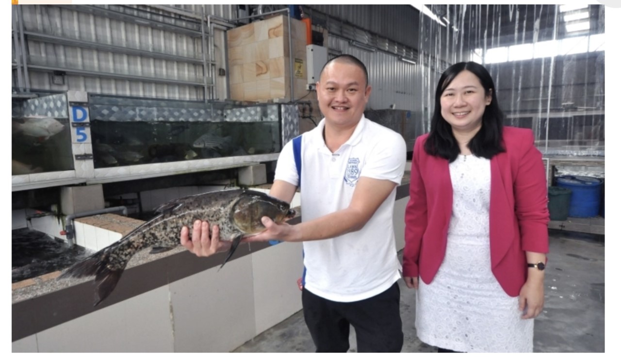 （请交冯嘉麒，刊期4月16日）有故事的人：自小鱼塘长大，长大打造海产王国