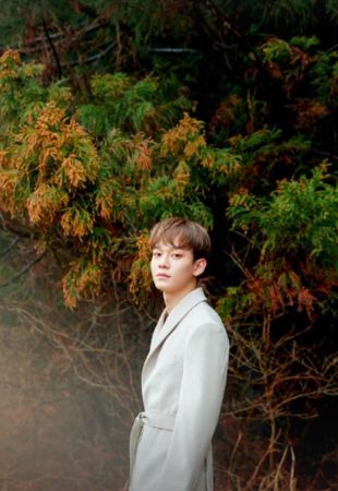 EXO D.O.确诊停工 Chen退伍回归赚奶粉钱