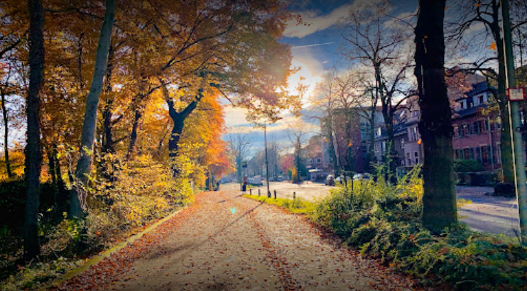 9日见报(大都会)有故事的人:江昌政