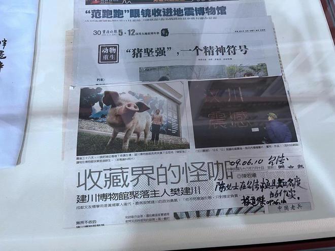 “猪坚强”标本今日正式展出