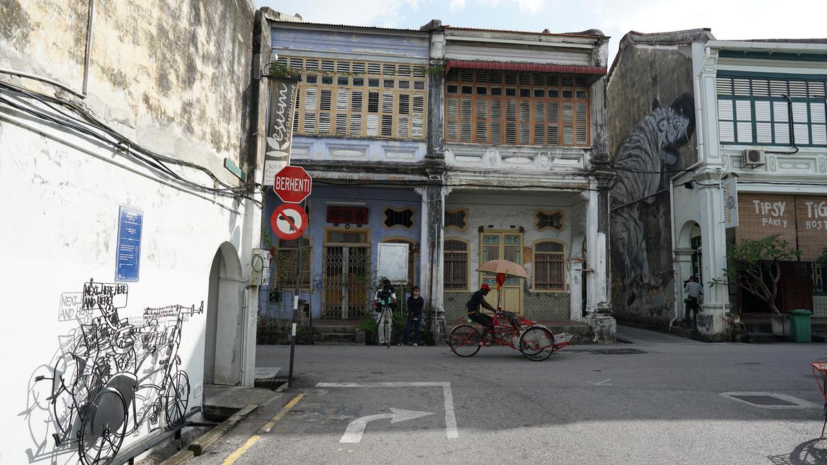 《南国启示录》｜首次挑战旁白配音  戴佩妮：希望能及格