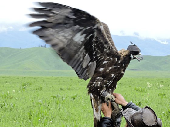 【中国】奇妙新疆行，在变数中遇到种种的美好