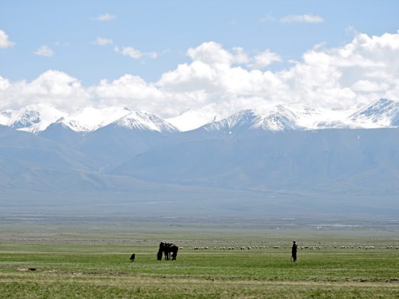 【中国】奇妙新疆行，在变数中遇到种种的美好