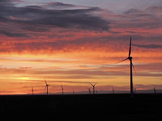 【中国】奇妙新疆行，在变数中遇到种种的美好