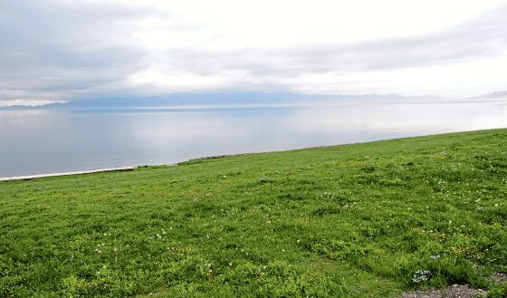 【中国】奇妙新疆行，在变数中遇到种种的美好