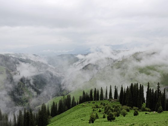 【中国】奇妙新疆行，在变数中遇到种种的美好