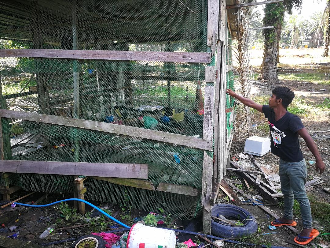 三兄弟平时在屋旁玩耍 兄弟俩到蓄水池酿悲剧