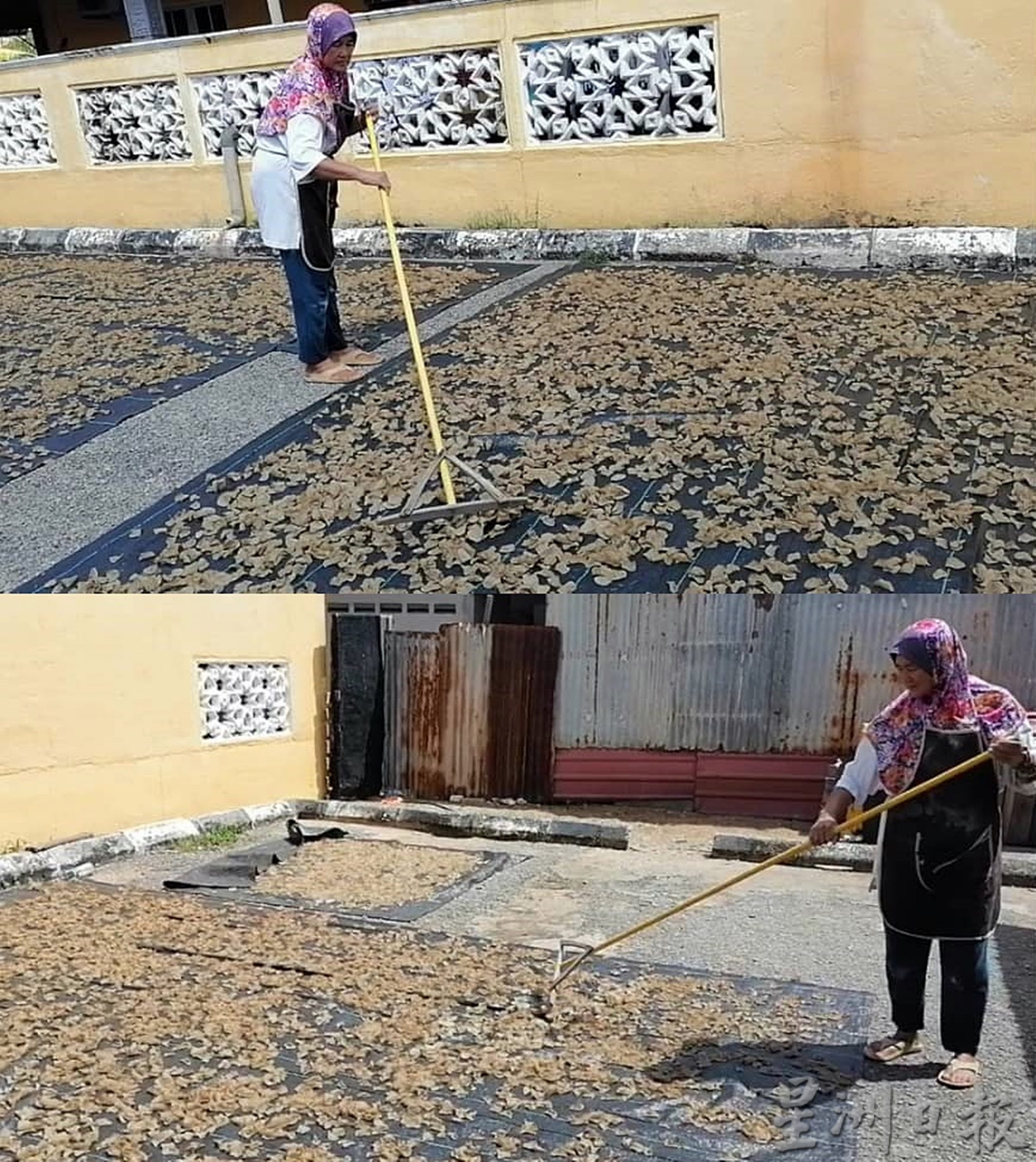 东：《东游记●去走走》“传统工艺生产，瓜拉彭亨鱼饼热销各地。”