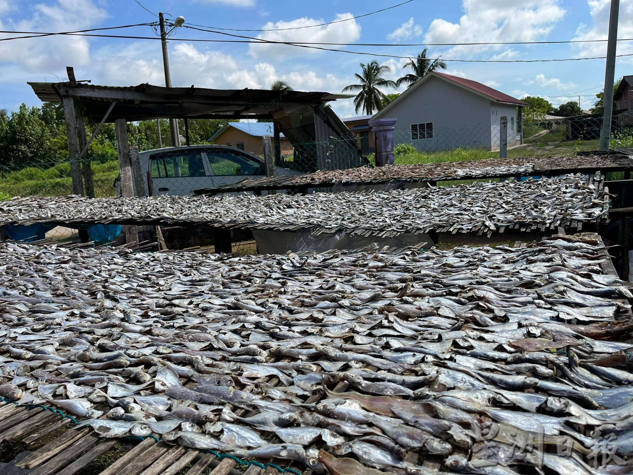 东：《东游记●去走走》“传统工艺生产，瓜拉彭亨鱼饼热销各地。”
